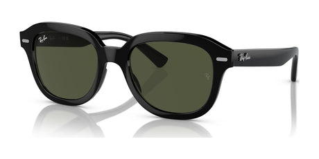 Ray-Ban ERIK RB4398 Sunglasses