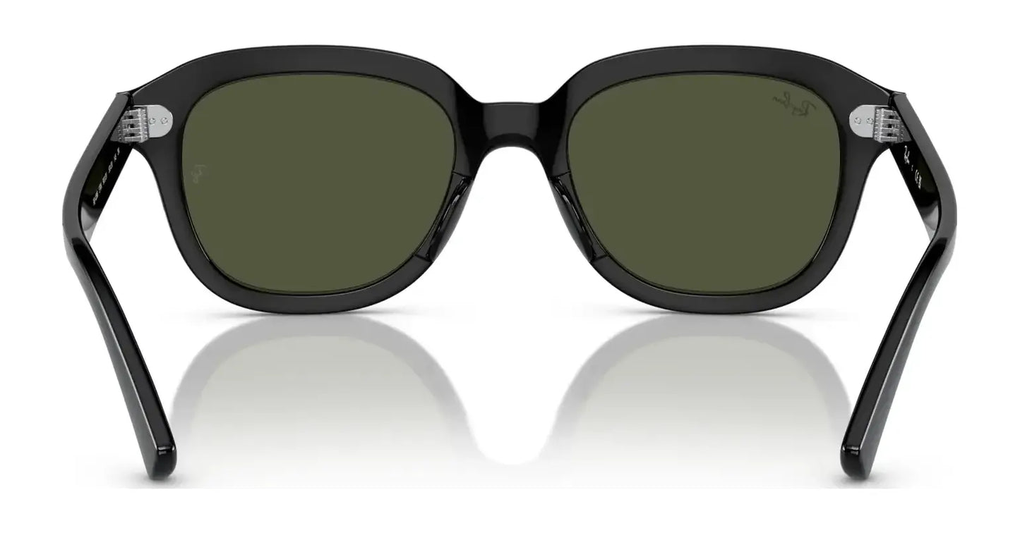 Ray-Ban ERIK RB4398 Sunglasses