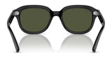 Ray-Ban ERIK RB4398 Sunglasses