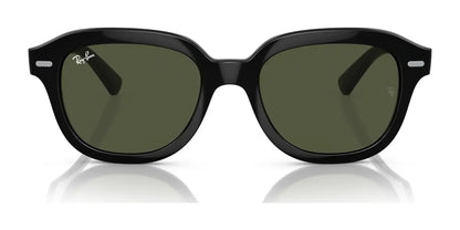 Ray-Ban ERIK RB4398 Sunglasses