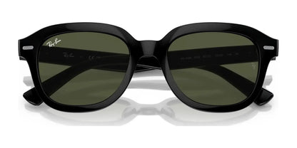 Ray-Ban ERIK RB4398 Sunglasses