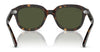 Ray-Ban ERIK RB4398 Sunglasses / Black №901/31 / Green (3N 13.2%) / Size 51