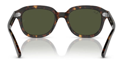 Ray-Ban ERIK RB4398 Sunglasses