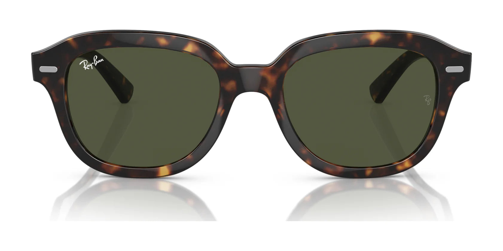 Ray-Ban ERIK RB4398 Sunglasses