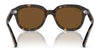 Ray-Ban ERIK RB4398 Sunglasses / Black №901/31 / Green (3N 13.2%) / Size 51