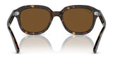 Ray-Ban ERIK RB4398 Sunglasses