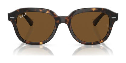 Ray-Ban ERIK RB4398 Sunglasses