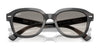 Ray-Ban ERIK RB4398F Sunglasses | Size 53 / Havana №902/31 / Green (3N 13.2%)