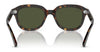 Ray-Ban ERIK RB4398F Sunglasses | Size 53 / Havana №902/31 / Green (3N 13.2%)