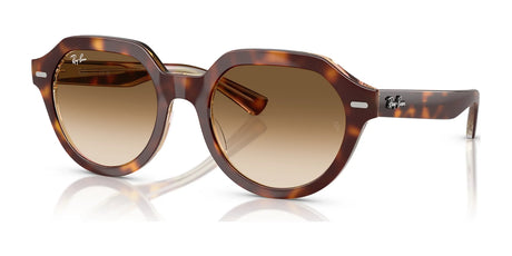 Ray-Ban GINA RB4399 Sunglasses