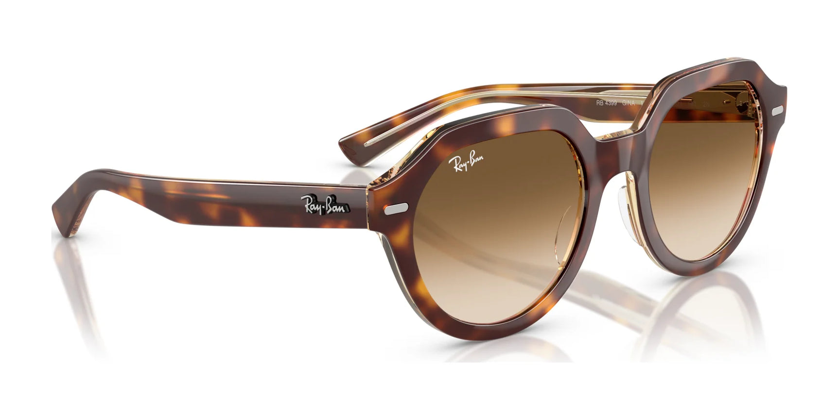 Ray-Ban GINA RB4399 Sunglasses