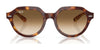 Ray-Ban GINA RB4399 Sunglasses / Havana №902/31 / Green (3N 13.2%) / Size 51