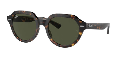 Ray-Ban GINA RB4399 Sunglasses Havana / Green