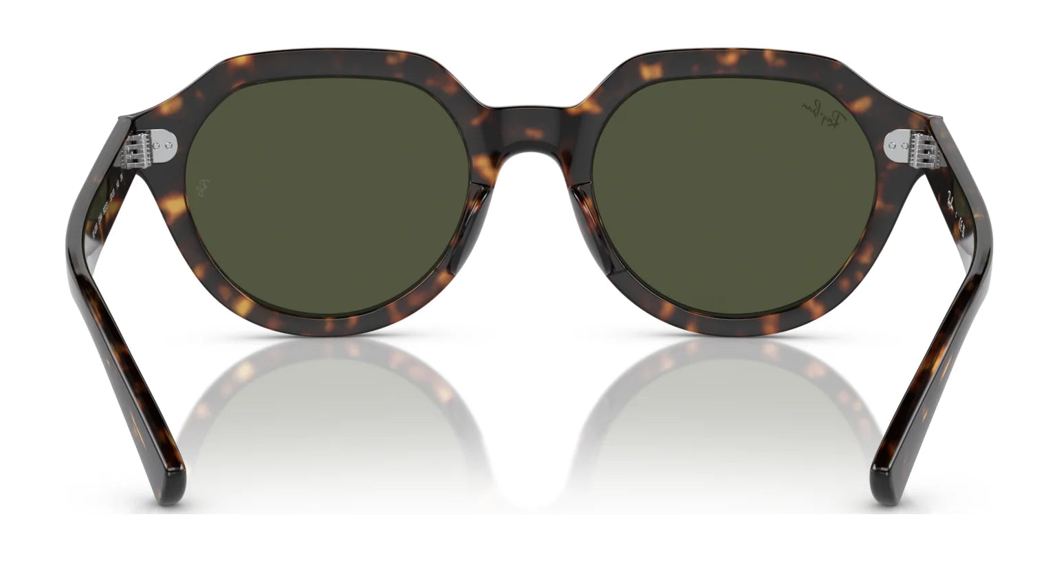 Ray-Ban GINA RB4399 Sunglasses