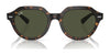 Ray-Ban GINA RB4399 Sunglasses / Havana №902/31 / Green (3N 13.2%) / Size 51