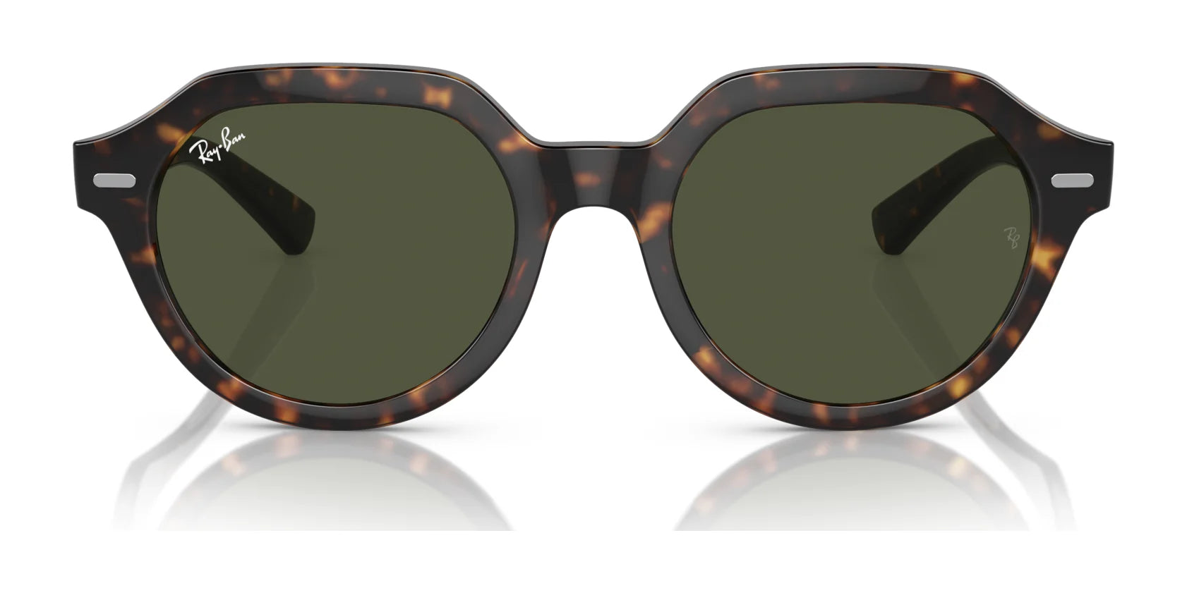 Ray-Ban GINA RB4399 Sunglasses