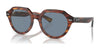 Ray-Ban GINA RB4399 Sunglasses / Striped Havana №954/62 / Blue (2N 21.70%) / Size 51