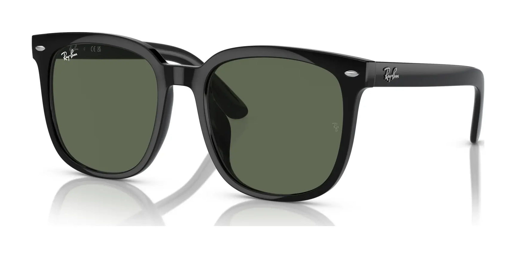 Ray-Ban RB4401D Sunglasses Black / Dark Green