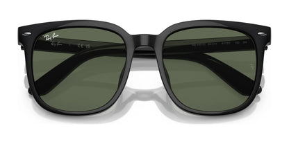 Ray-Ban RB4401D Sunglasses | Size 57