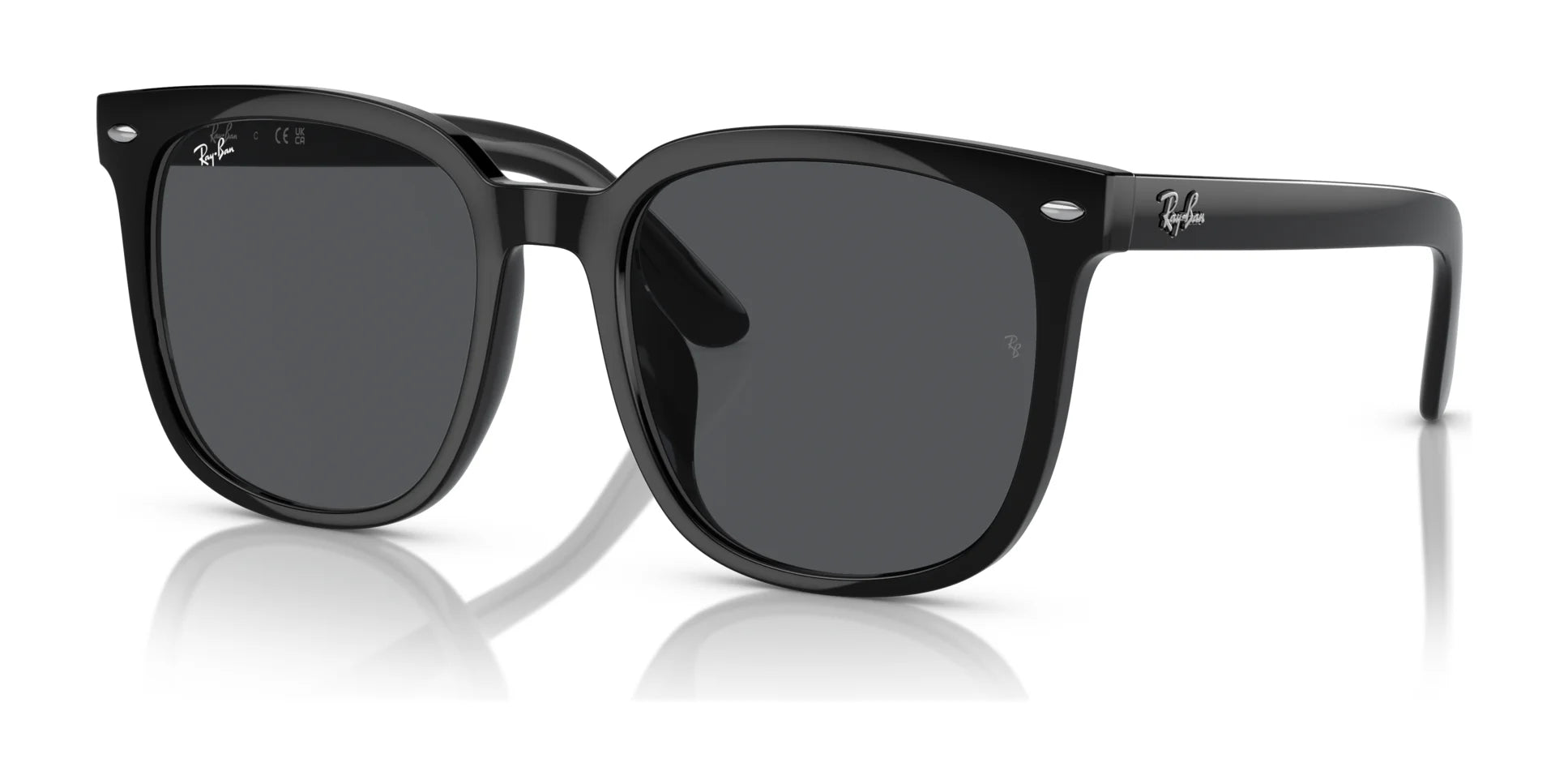 Ray-Ban RB4401D Sunglasses Black / Dark Grey