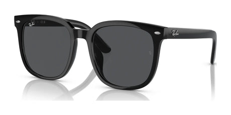 Ray-Ban RB4401D Sunglasses