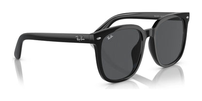 Ray-Ban RB4401D Sunglasses | Size 57