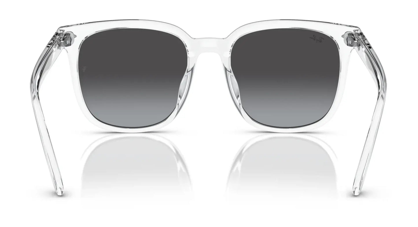 Ray-Ban RB4401D Sunglasses