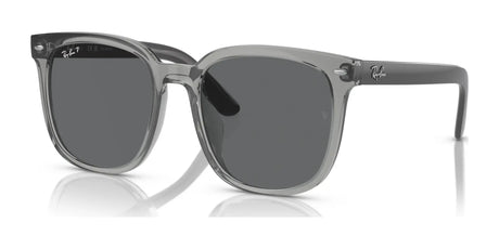 Ray-Ban RB4401D Sunglasses