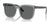Ray-Ban RB4401D Sunglasses / Transparent Grey №659981