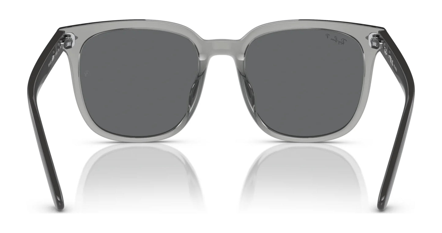 Ray-Ban RB4401D Sunglasses