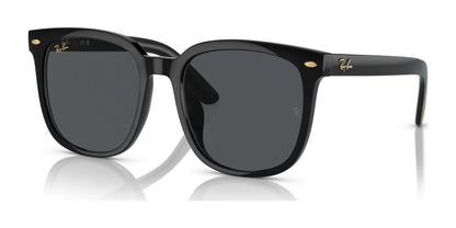 Ray-Ban RB4401D Sunglasses Black / Dark Grey