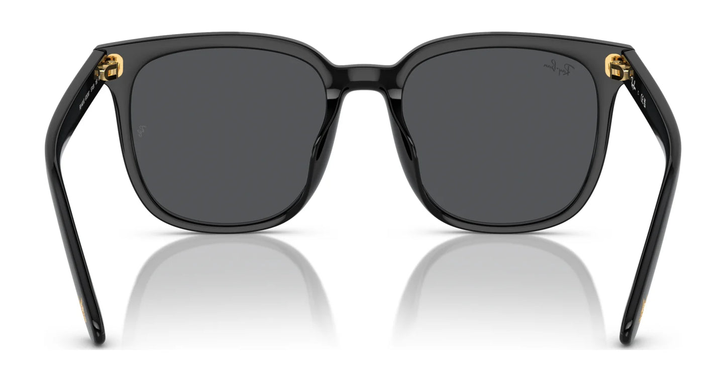 Ray-Ban RB4401D Sunglasses | Size 57