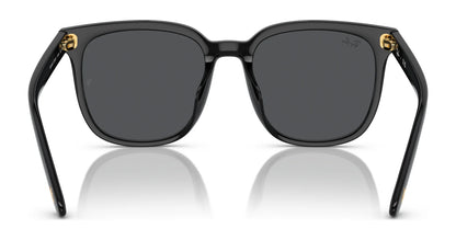 Ray-Ban RB4401D Sunglasses | Size 57