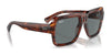 Ray-Ban MAGELLAN RB4408 Sunglasses | Size 54 / Black №667771 / Dark Green (3N 14.3%)