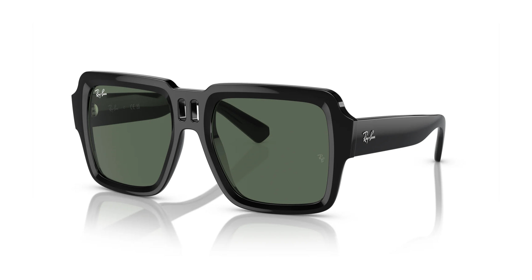 Ray-Ban MAGELLAN RB4408 Sunglasses Black / Dark Green