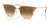 Ray-Ban NEW CLUBMASTER RB4416 Sunglasses / Beige On Gold №672151