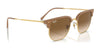 Ray-Ban NEW CLUBMASTER RB4416 Sunglasses / Black On Gold №601/31 / Green (3N 13.2%) / Size 51