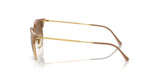 Side view of Ray-Ban NEW CLUBMASTER RB4416F sunglasses in size 55 with gold metal temples, brown accents, and sleek polarized lenses on a white background.