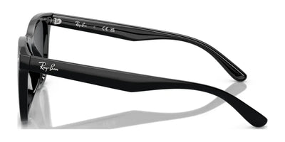 Ray-Ban RB4420 Sunglasses | Size 65