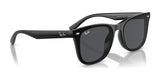 Ray-Ban RB4420 Sunglasses | Size 65