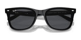 Ray-Ban RB4420 Sunglasses | Size 65