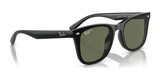 Ray-Ban RB4420 Sunglasses | Size 65