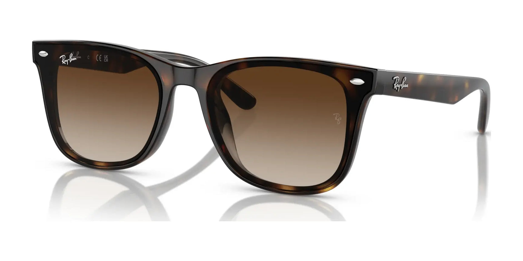 Ray-Ban RB4420 Sunglasses | Size 65