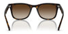 Ray-Ban RB4420 Sunglasses | Size 65 / Black №601/87 / Dark Grey (3N 9.3%)