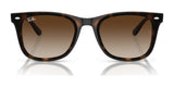 Ray-Ban RB4420 Sunglasses | Size 65