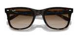 Ray-Ban RB4420 Sunglasses | Size 65