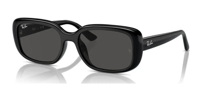Ray-Ban RB4421D Sunglasses Black / Dark Grey