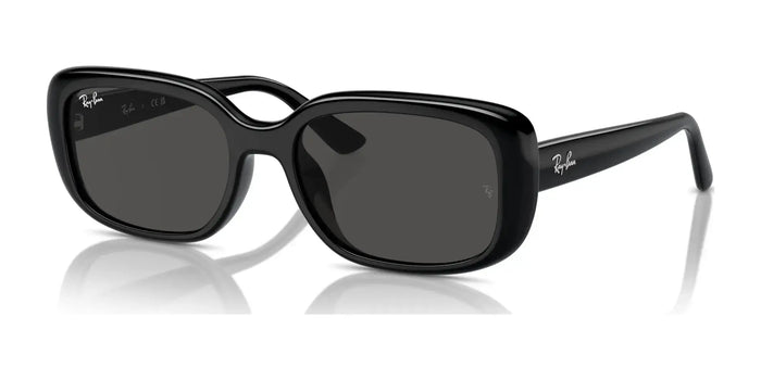 Ray-Ban RB4421D Sunglasses | Size 56 / Black №667787 / Dark Grey (3N 10.1%)