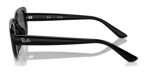Ray-Ban RB4421D Sunglasses / Size 56 / Black №667787 / Dark Grey (3N 10.1%)