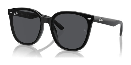 Ray-Ban RB4423D Sunglasses / Size 66 / Black №601/87 / Dark Grey (3N 9.3%)